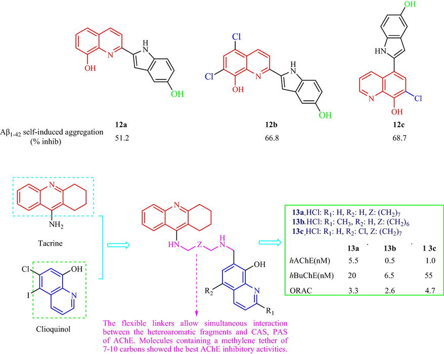 Structural of 8-hydroxyquinoline analogs (12,13) containing indole and tacrine ring.