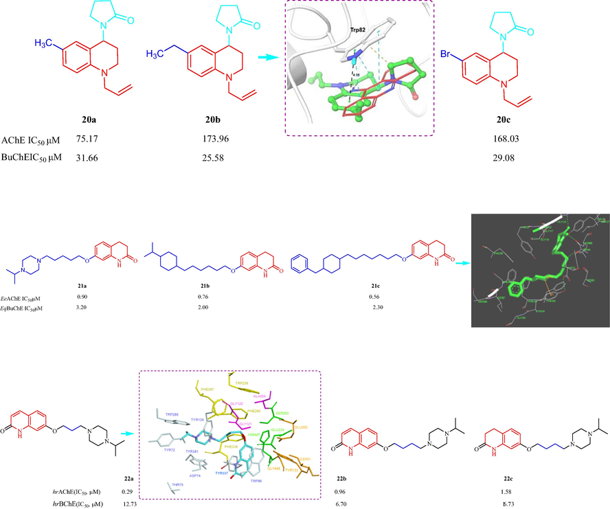 Structure of tetrahydro-quinoline and their derivatives 20–22.