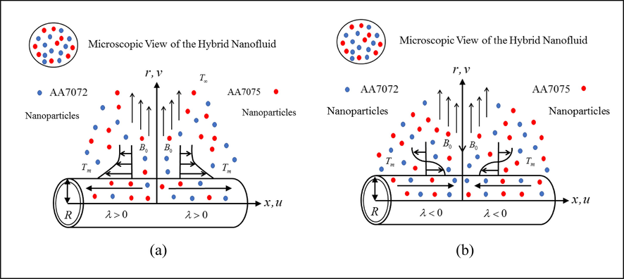 The model of the problem (a) stretchable case (b) shrinkable case.