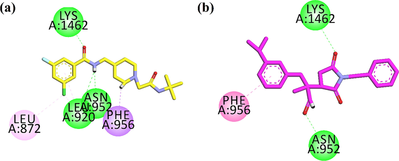 2D interaction plot of (a) native compound (yellow stick model) and (b) Succ-5(pink stick model) in the binding site of 6KZP.