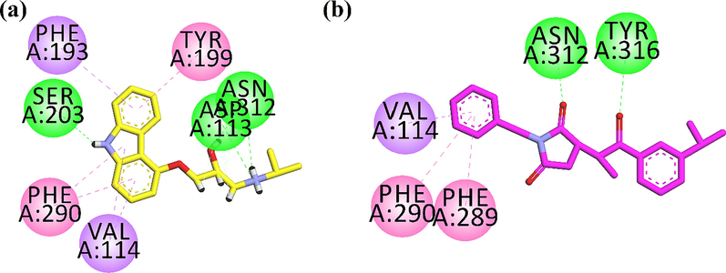 2D interaction plot of (a) native compound (yellow stick model) and (b) Succ-5(pink stick model) in the binding site of human beta2-adrenergic G protein-coupled receptor.