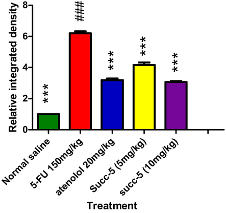 Graphical presentation of inhibitory effect by Succ-5 at 5 mg/kg, 10 mg/kg doses and Atenolol against cyclooxygenase-2 (COX-2) by in rat’s heart tissue, using immune-histochemical technique. Values expressed as mean ± SEM (n = 6). Where ***p < 0.001 vs 5-FU group.