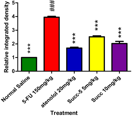 Graphical presentation of inhibitory effect bySucc-5(at 5 mg/kg, 10 mg/kg doses) and Atenolol against tumor necrosis factor alpha (TNF- α) in rat’s heart tissue, using immunohistochemical technique. Values expressed as mean ± SEM (n = 6). Where; ***p < 0.001 vs 5-FU treated group.