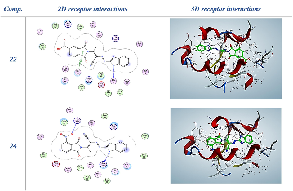 2D and 3D receptor interactions of the promising synthesized compounds.