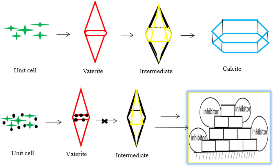 The change of morphology of CaCO3 crystal with and without inhibitor.