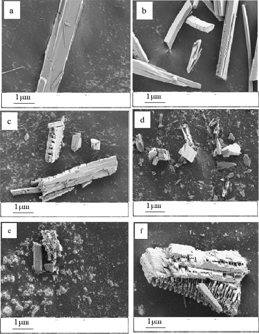 SEM images of CaSO4 crystal with different inhibitors (a) blank, (b) PASP, (c) PASPG1, (d) PASPG2, (e) PASPG3, (f) PASPG4.