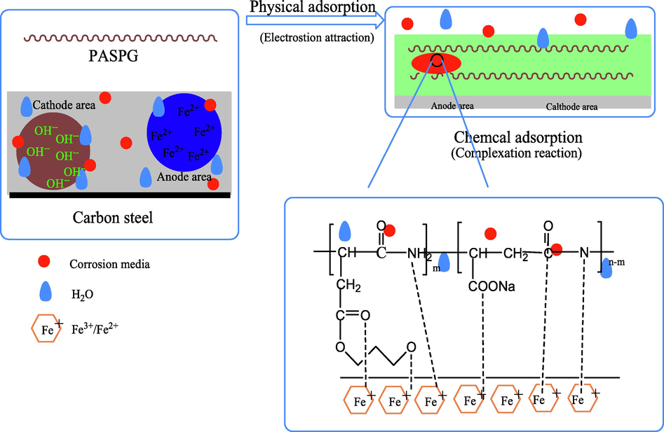 The schematic diagram of the corrosion inhibition process of PASPG2.