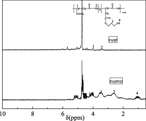 The 1H NMR spectra of PASP and PASPG2.