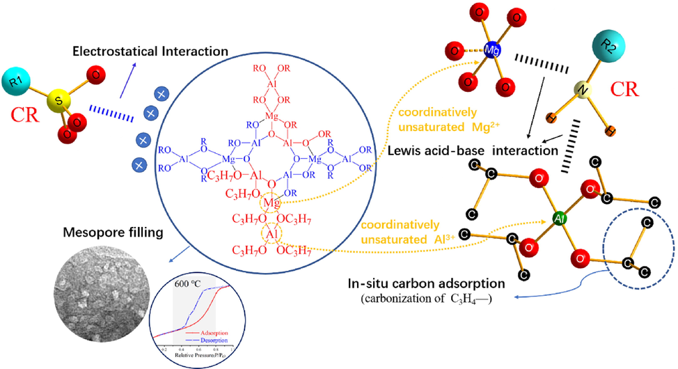 Schematic illustration of the CR adsorption process on to MgAl2O4/C.