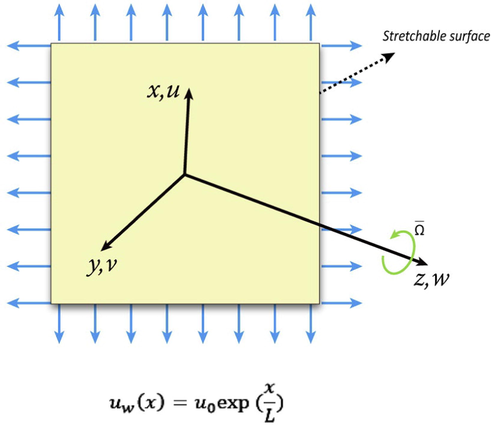 Physical configuration and Cartesian coordinate system.