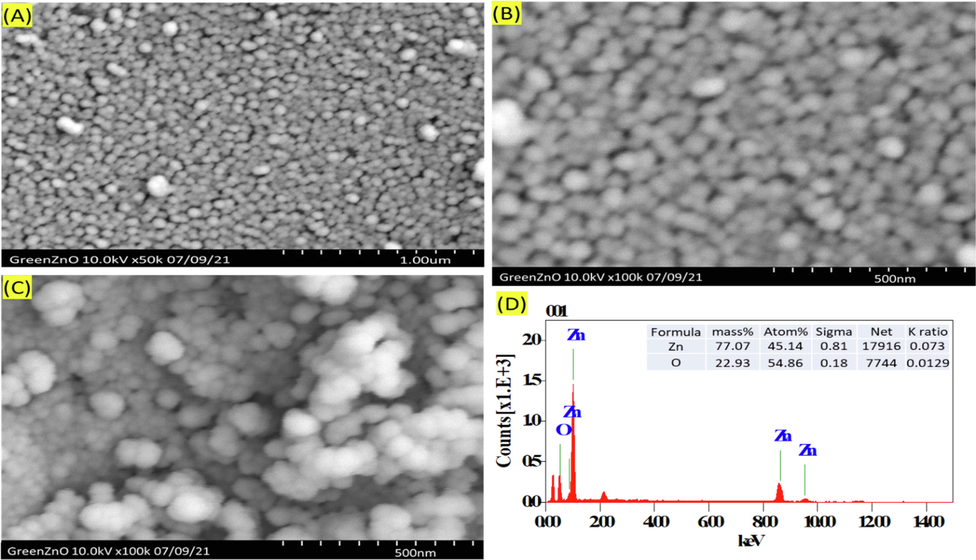 (A, B and C) Scanning Electron Microscopic images reveal the morphology of GsZnO-Nps shows spherical nanoparticles, (D) EDS of GsZnO-Nps revealing the elemental composition in graphical and tabulated form.