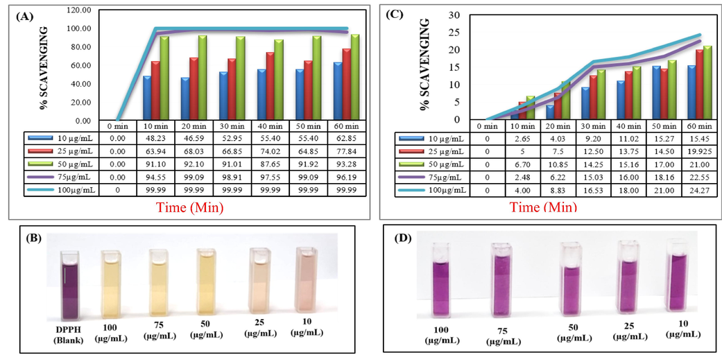 (A) anti-oxidant efficacy of GsZnO-Nps different concentration (10 to 100 µg/mL vs Time), (B) Pictorial representation anti-oxidant efficacy of GsZnO-Nps, (C) anti-oxidant efficacy of AR Grade ZnO, (D) Pictorial representation anti-oxidant efficacy of AR Grade ZnO given of comparison.