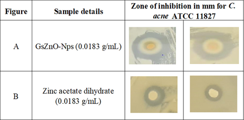 Representative images of anti-acne study against C. acne bacteria (A) ZOI of GsZnO-Nps (B) ZOI of Zinc acetate dihydrate salt.