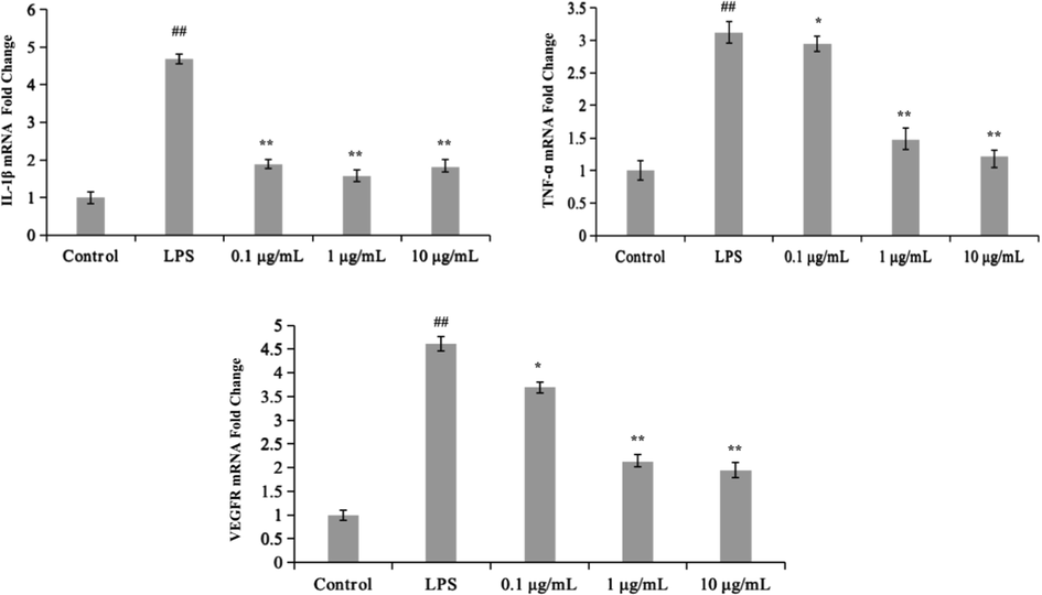 Effects of SBE on the production of pro-inflammatory cytokines (IL-1β, TNF-ɑ and VEGFR) in LPS-induced Macrophages (THP-1) cells. All the experiments were repeated at least three times and similar results were observed. Values are mean ± SE, (n = 4 samples/ group). # p < 0.05 and ## p < 0.01 compare with Control group, * p < 0.05 and ** p < 0.01 mean compare with LPS group.