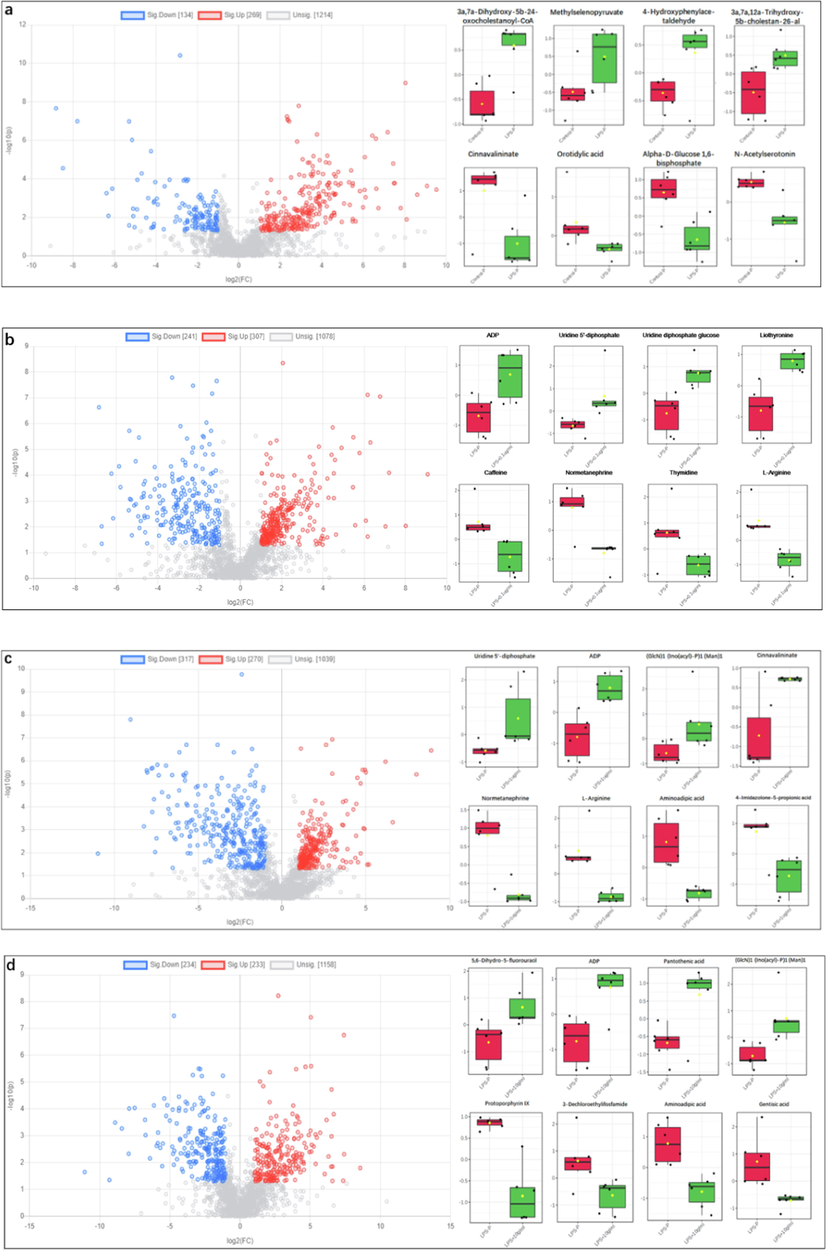 Differential analysis of metabolites. Plot and different metabolites box plots using MetaboAnalyst 5.0 (p-value < 0.05, fold change (FC) > 2). (a) LPS vs Control (POS), (b) 0.1 μg/ mL SBE vs LPS (POS), (c) 1 μg/ mL SBE vs LPS (POS), (d) 10 μg/ mL drug vs LPS (POS), (e) LPS vs Control (NEG), (f) 0.1 μg/ mL SBE vs LPS (NEG), (g) 1 μg/ mL SBE vs LPS (NEG), (h) 10 μg/ mL SBE vs LPS (NEG).