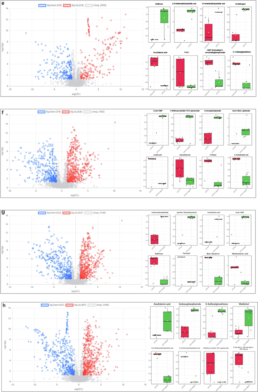 Differential analysis of metabolites. Plot and different metabolites box plots using MetaboAnalyst 5.0 (p-value < 0.05, fold change (FC) > 2). (a) LPS vs Control (POS), (b) 0.1 μg/ mL SBE vs LPS (POS), (c) 1 μg/ mL SBE vs LPS (POS), (d) 10 μg/ mL drug vs LPS (POS), (e) LPS vs Control (NEG), (f) 0.1 μg/ mL SBE vs LPS (NEG), (g) 1 μg/ mL SBE vs LPS (NEG), (h) 10 μg/ mL SBE vs LPS (NEG).