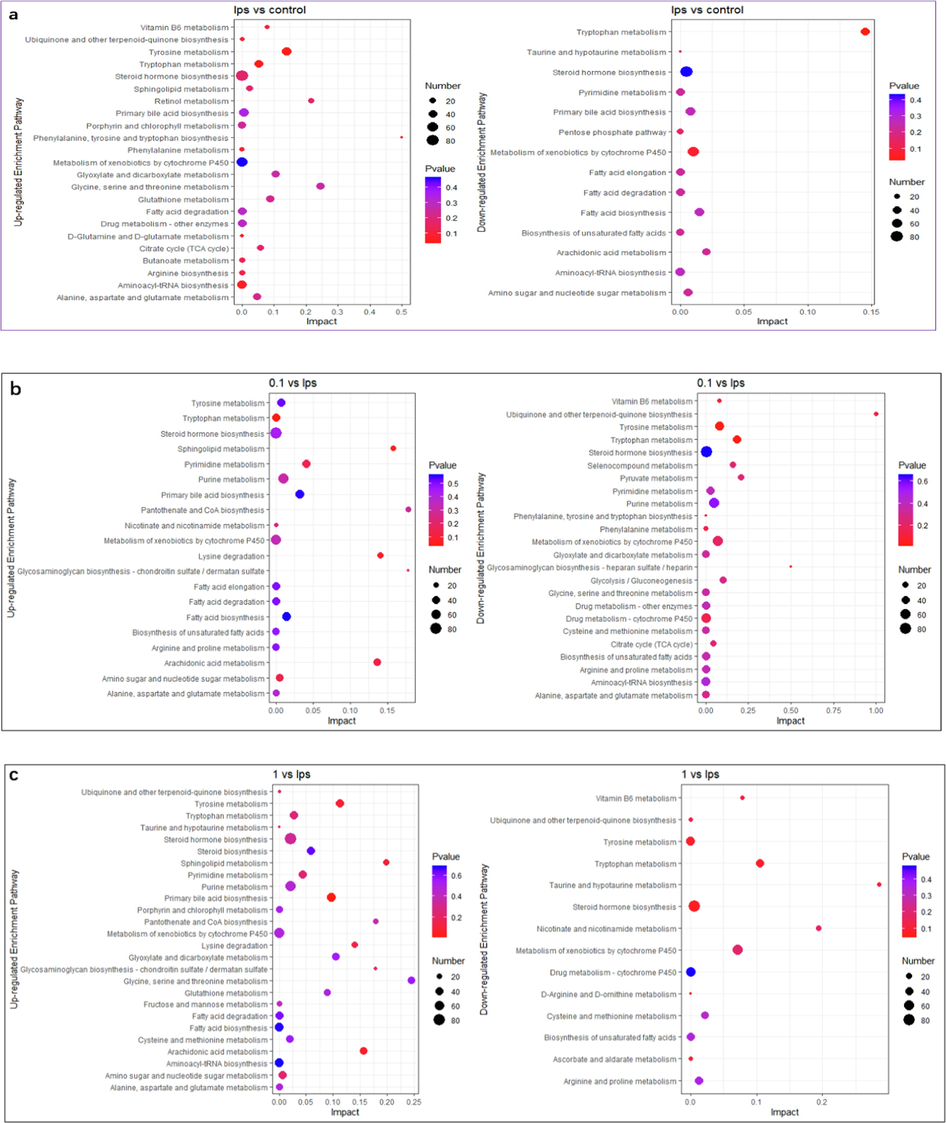 Enrichment analysis of differential metabolite pathways. The names of up-regulated metabolite enrichment pathways and down-regulated metabolite enrichment pathways are on the left side. The enrichment factor (Impact) is represented by the horizontal axis, the bubble size is the number of distinct metabolites engaged in this pathway, and the bubble color is the metabolic pathway's super metric test p-value. (a) LPS vs Control, (b) 0.1 μg/ mL SBE vs LPS, (c) 1 μg/ mL SBE vs LPS, (d) 10 μg/ mL SBE vs LPS.