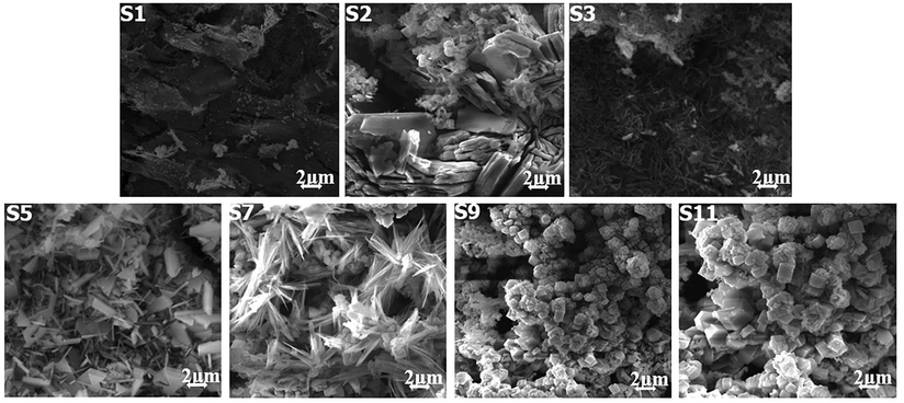 SEM Analysis for Biocorrosion Systems.