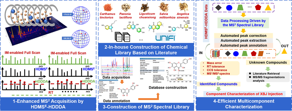 An overall technical roadmap for the analysis strategy enabling the comprehensive characterization of the multicomponents in XBJ Injection by integrating a hybrid scan approach and intelligent peak annotation workflows facilitated by UNIFI and an in-house MS2 spectral library.