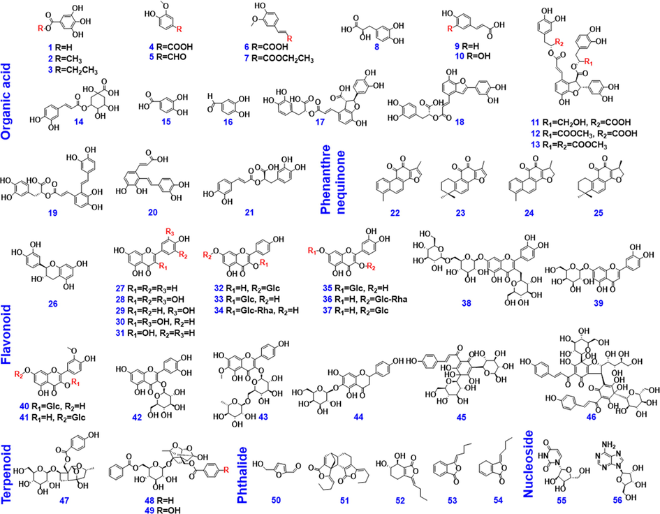 Chemical structures for the 56 reference compounds used in the current work.