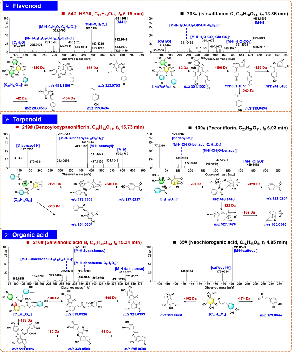 Annotation of the negative CID-MS2 spectra and proposed fragmentation pathways for the representative compounds of flavonoids, terpenoids, and organic acids from XBJ Injection.