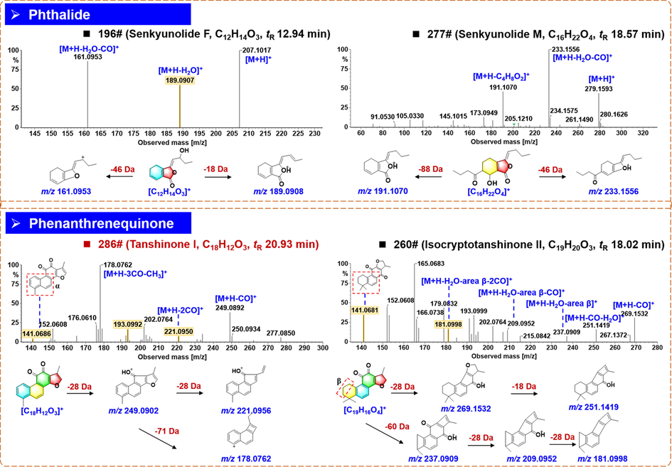 Annotation of the positive CID-MS2 spectra and proposed fragmentation pathways for the representative compounds of phthalides and phenanthrenequinones from XBJ Injection.