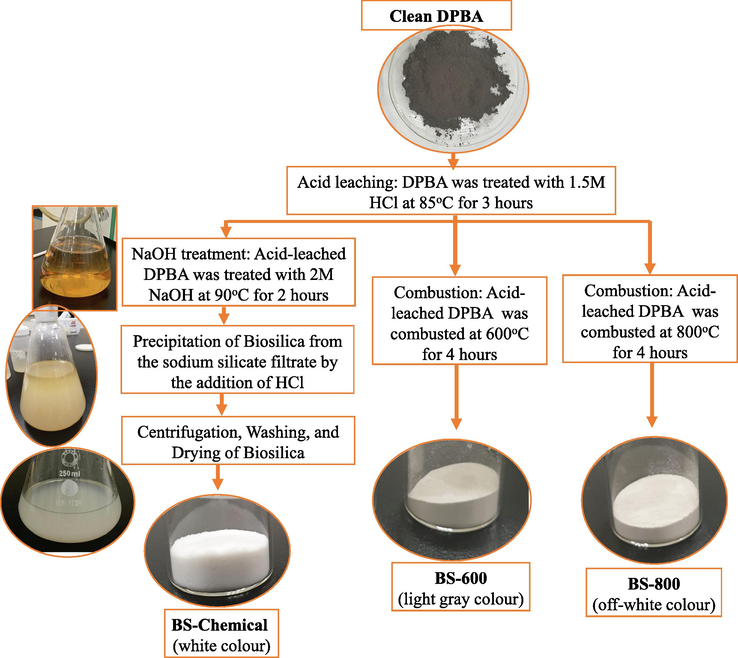 Flow-diagram for the preparation of biosilica from DPBA by chemical sol–gel method or thermal combustion method.