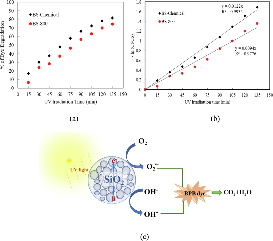 (a) Effect of irradiation time on the photodegradation of bromophenol blue in presence of biosilica catalysts, (b) Kinetics plots for the photodegradation of bromophenol blue in presence of biosilica catalysts, (c) Schematic illustration of photocatalytic degradation of Bomophenol Blue by biosilica catalyst.