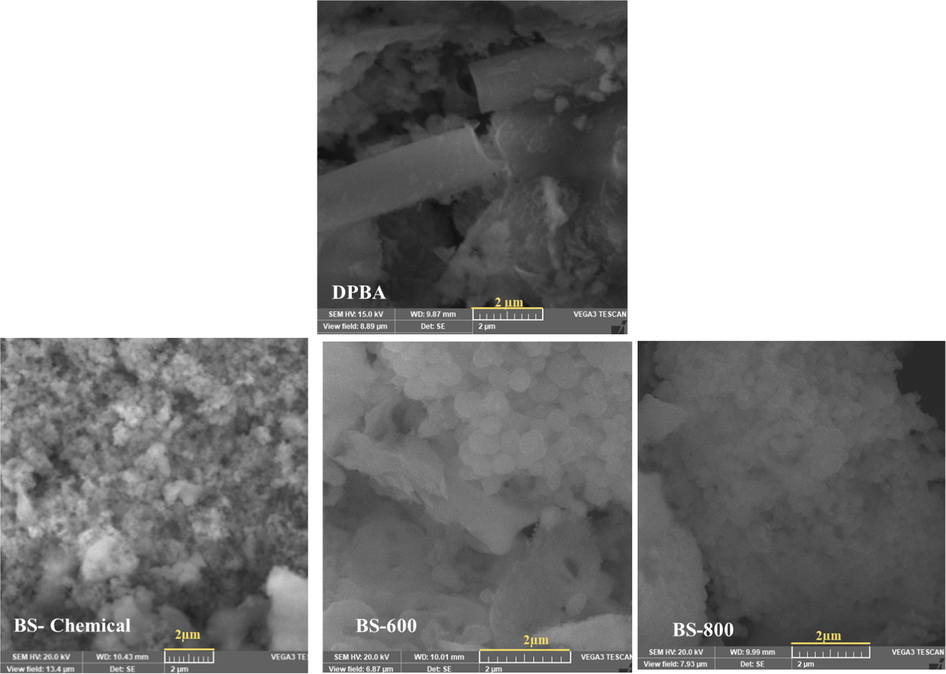 SEM images of DPBA, chemically extracted biosilica sample and thermally prepared biosilica samples.