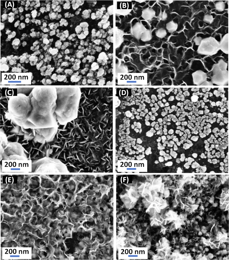 FE-SEM (high magnification) images for (A) Pd/GC, (B) FeOx/GC, (C) a-FeOx/GC, (D) Pd/FeOx/GC, (E) FeOx/Pd/GC and (F) a-FeOx/Pd/GC catalysts (4 potential cycles were applied for the deposition of nano-FeOx).