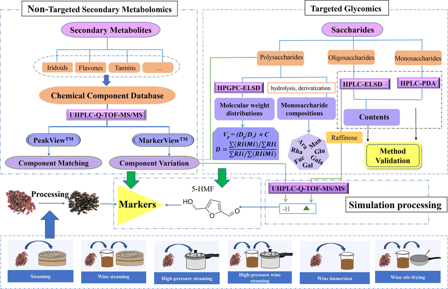 Technical flow chart for conduction of experiments.