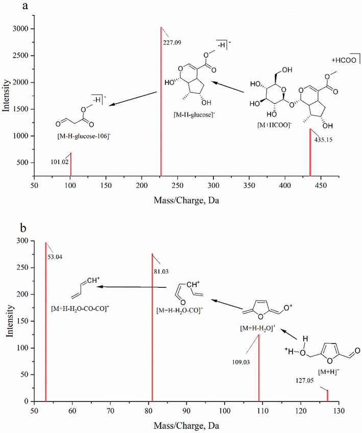 Fragmentation patterns of loganin and 5-HMF. a: loganin; b: 5-HMF.