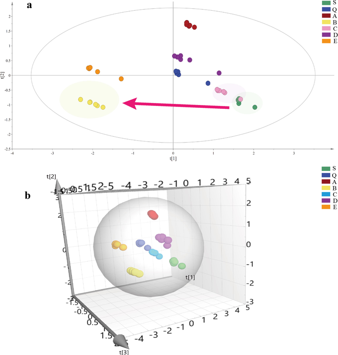 PCA score plots and transformation mechanism of saccharides. a: 2D PCA score plots of saccharides from crude and processed FC; b: 3D PCA score plots of saccharides from crude and processed FC. S: crude FC; Q: steamed FC; A: high-pressure steamed FC; B: wine steamed FC; C: high-pressure wine steamed FC; D: wine immersed FC; E: wine stir-fried FC.