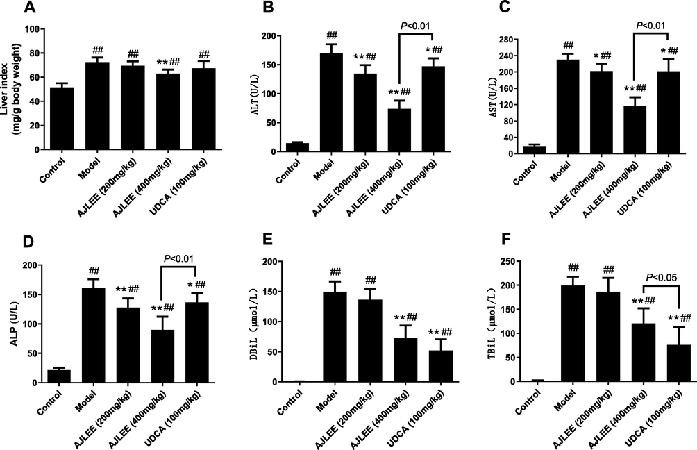 Effects of AJLEE on liver index and serum biochemical indicators: (A) liver index; (B) alanine transaminase (ALT); (C) aspartate transaminase (AST); (D) alkaline phosphatase (ALP); (E) total bilirubin (TBiL) and (F) direct bilirubin (DBiL). Data are expressed as the mean ± SD (n = 8 in each group). ##P < 0.01 compared with the control group; *P < 0.05, **P < 0.01 compared with the model group.