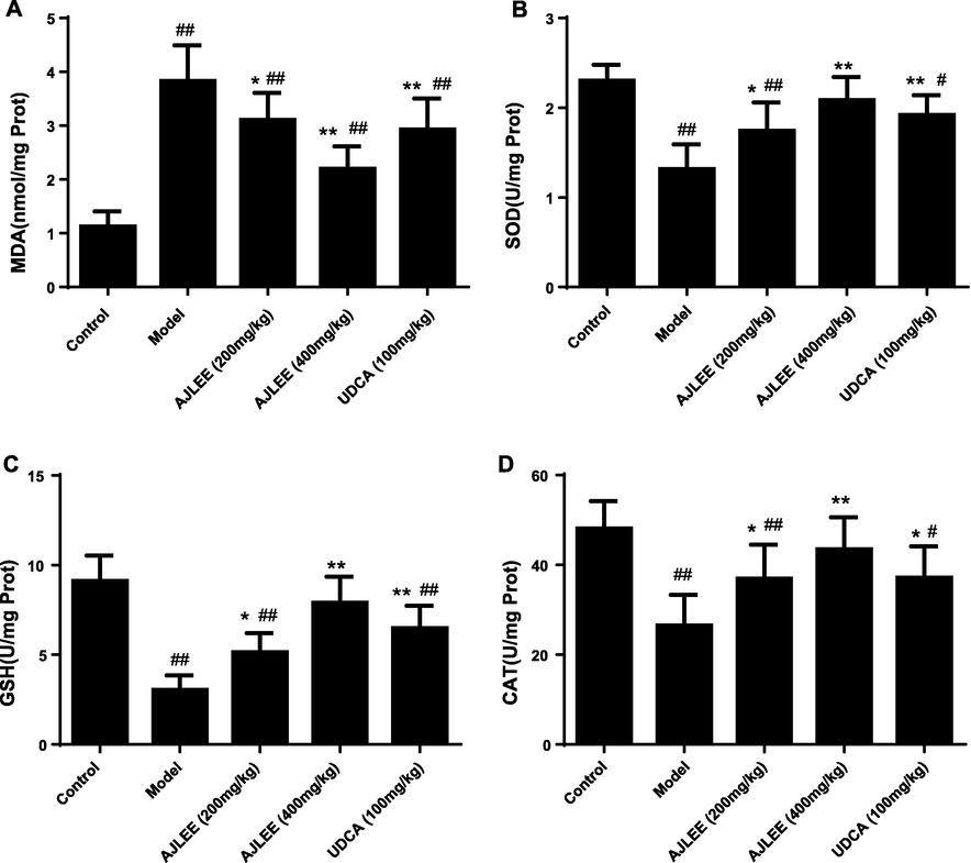 Effects of AJLEE on the levels of hepatic (A) MDA, (B) SOD, (C) GSH and (D) CAT. Data are expressed as the mean ± SD (n = 8 in each group). #P < 0.05, ##P < 0.01 compared with the control group; *P < 0.05, **P < 0.01 compared with the model group.