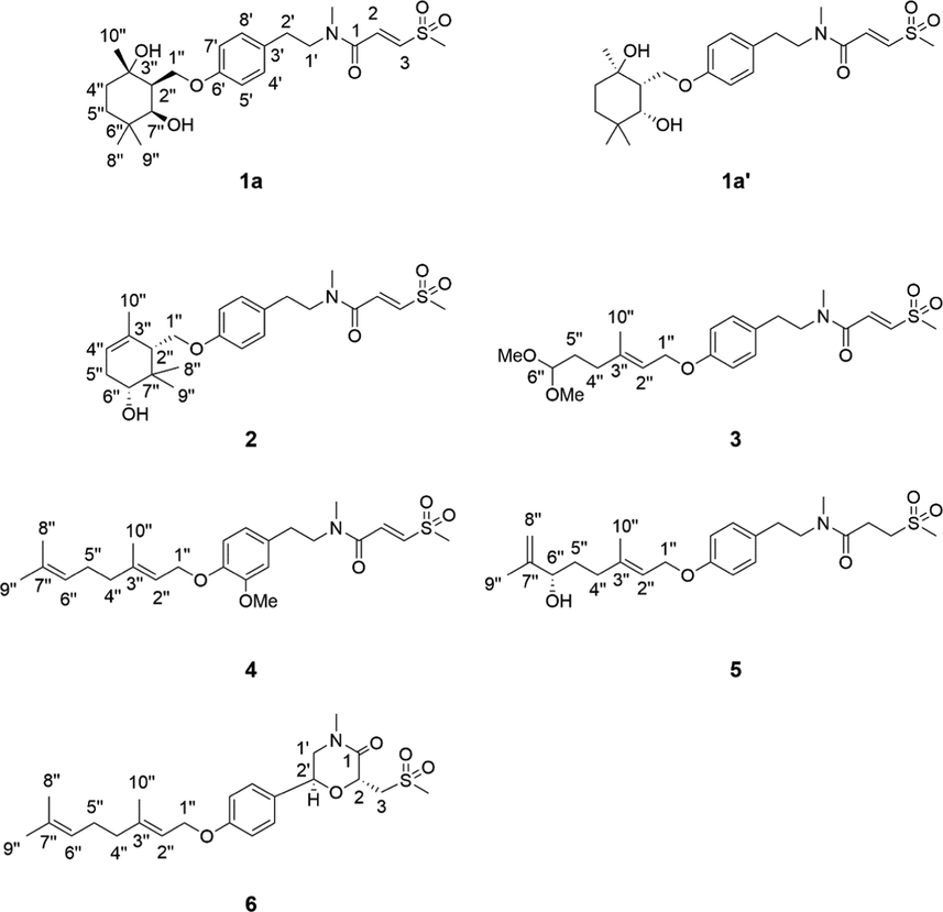 Structures of compounds 1–6.
