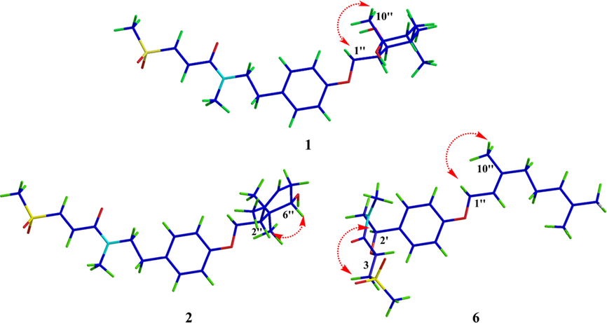 ROESY correlations for compounds 1, 2 and 6.