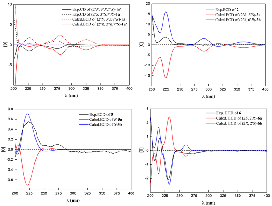 Calculated and experimental ECD spectra of 1, 2, 5 and 6.
