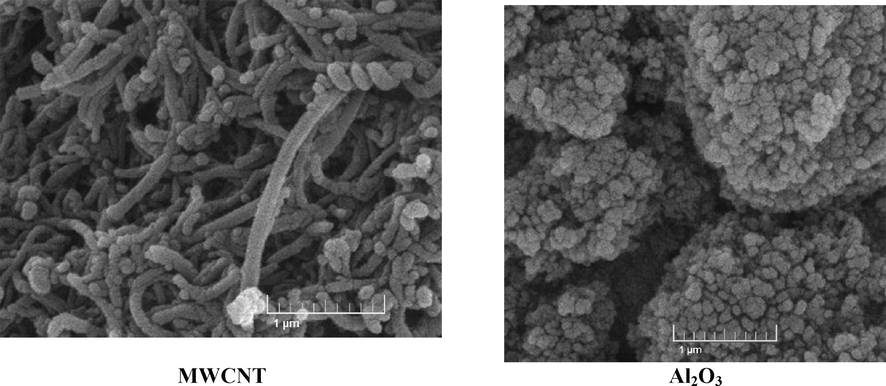 Images of 2D and 3D XRD, and SEM of NPs.