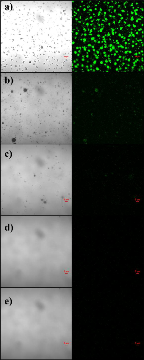 Confocal fluorescence microscopy of oily sewage treating with different amount of GG-SH. a)0 mg; b)50 mg; c)100 mg; d)150 mg; e)200 mg.(λ = 488 nm).