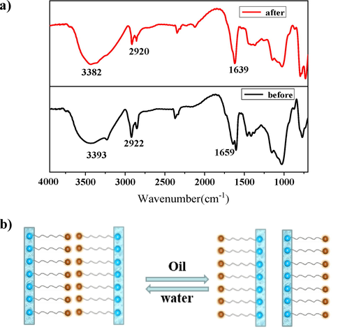 A)ft-ir spectra of gg-sh before and after adsorption of oily sewage; b) the “over-turn” theory of gg-sh in oil–water systems.