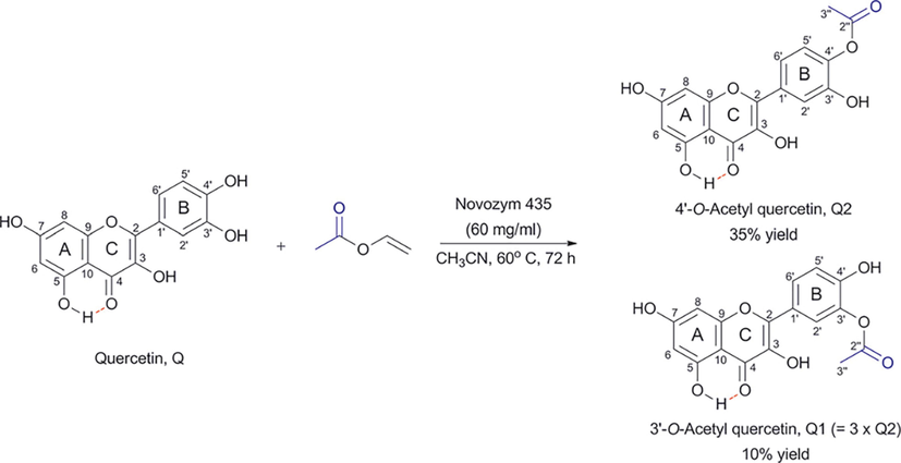 Regioselective acylation of quercetin with the use of CALB (Novozyme 435) leading to two products, Q1 (3΄-O-acetyl quercetin) and Q2 (4΄-O-acetyl quercetin). The OH(5) proton is implicated in the formation of an intramolecular hydrogen bond that is depicted with a red line (reprinted with permission of The Royal Society of Chemistry, from Kyriakou et al., 2012).