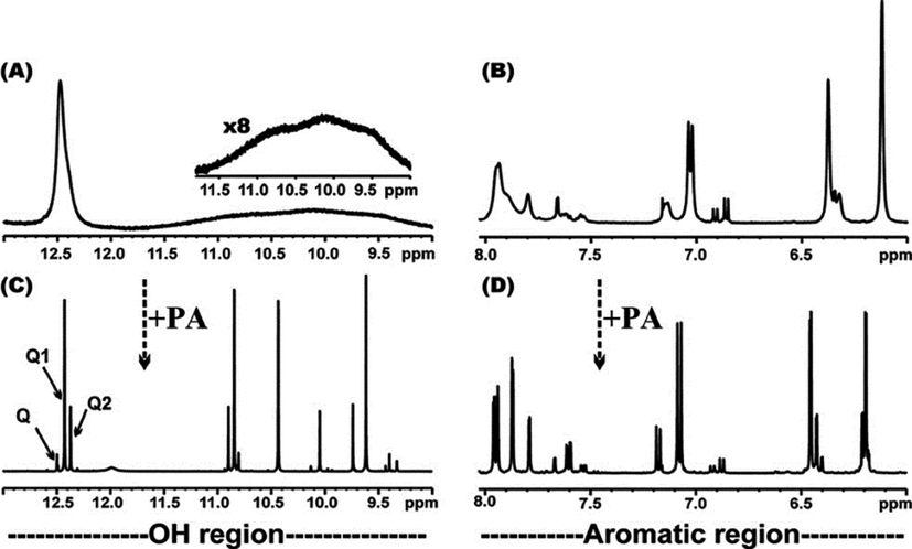 500 MHz 1D 1H NMR spectrum of the OH and aromatic regions of the enzymatically obtained monoacylated derivatives of quercetin in DMSO‑d6. The –OH and aromatic spectral regions are illustrated in (A), (B) before and in (C), (D) after the addition of picric acid, respectively. In (C) the absorptions of the OH(5) protons for Q (unreacted quercetin), Q1 and Q2 (Fig. 1) are indicated with arrows (reprinted with permission of The Royal Society of Chemistry, from Kyriakou et al., 2012).