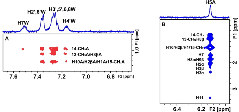 Selective region of 2D Tr-NOESY NMR spectrum of 2 mM artemisinin and 20 μΜ BSA after the addition of 2 mM warfarin in PBS buffer solution in D2O, pD 7.4 with 10 % DMSO‑d6. (A) Red cross-peaks correspond to inter-NOEs between warfarin and artemisinin and (B) blue cross-peaks correspond to intra-NOEs of artemisinin, mixing time = 300 ms (Primikyri et al., 2022).