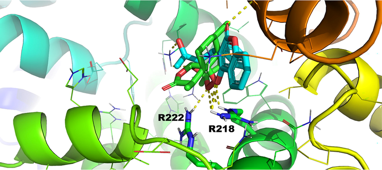 Pose number 2 of warfarin and artemisinin for binding site FA7 of HSA (1BM0.pdb) (Primikyri et al., 2022).