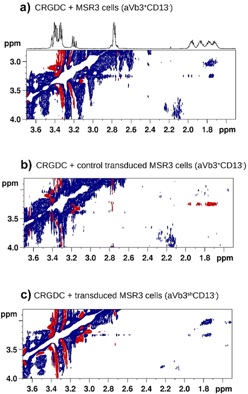 A) Tr-NOESY spectrum (mixing time = 100 ms) of CRGDC in the presence of αvβ3+ CD13+ cells: the crosspeaks deriving from correlations of the arginine γ/δ protons of the ligand are negative (blue), with the same sign as the diagonal. The flipped sign in NOE cross-peaks indicates that CRGDC interacts with a cell surface receptor. b) Tr-NOESY spectrum (mixing time = 600 ms) of CRGDC in the presence of β3-silenced (αvβ3shCD13-) cells: the cross-peaks (red) deriving from correlations of the arginine γ/β and γ/δ protons of the ligand have opposite phase with respect to the diagonal, indicating that the molecule is free in solution. c) As expected, CRGDC binds to its receptor also in mock transduced cells (Tr-NOESY control experiment) (reprinted with permission of Wiley-VCH, from Mari et al., 2010).