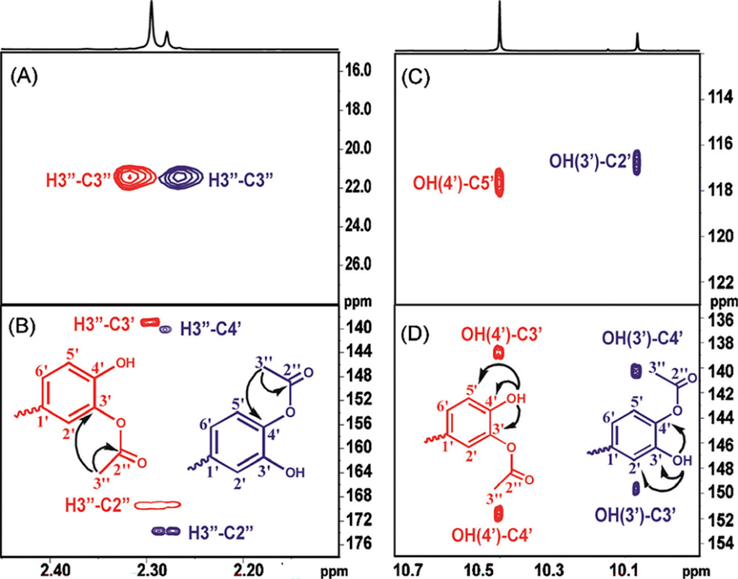 Selected regions of the 500 MHz 1H–13C HSQC (A) and 1H–13C HMBC (B)–(D) spectra of the solution used in Fig. 2(C). The arrows and cross peaks of importance for the unequivocal assignment of the 3′-and the 4′-monoacylated derivatives of quercetin are colored in red and blue, respectively (reprinted with permission of The Royal Society of Chemistry, from Kyriakou et al., 2012).