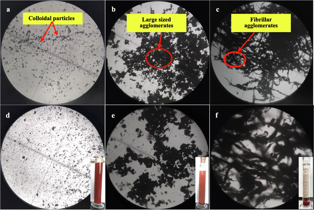 Micrographs of (a, d) hematite, (b, e) hematite + XG and (c, f) hematite + XG + FeCl3⋅6H2O at pH 6.4.