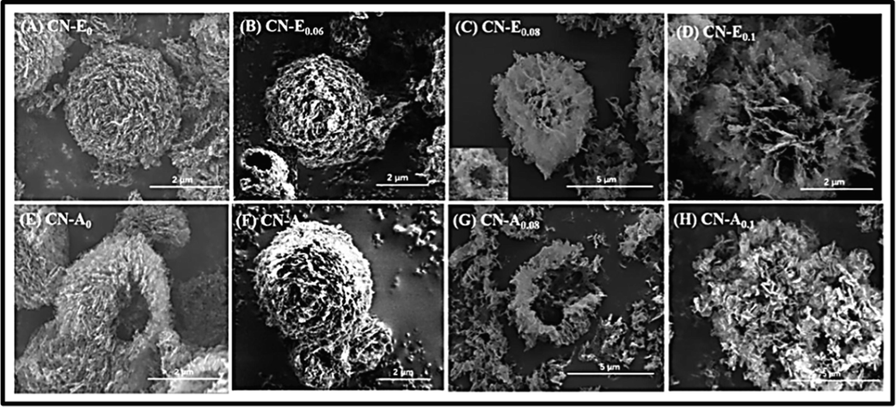 SEM images of hollow mesoporous carbon nitride. ().