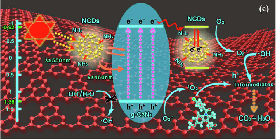 The proposed photocatalytic mechanism in the Nitrogen-doped CDs/g-C3N4. ().